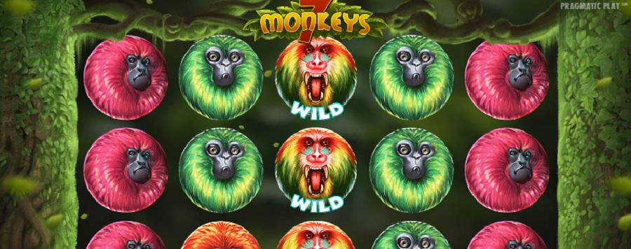 7 Monkeys