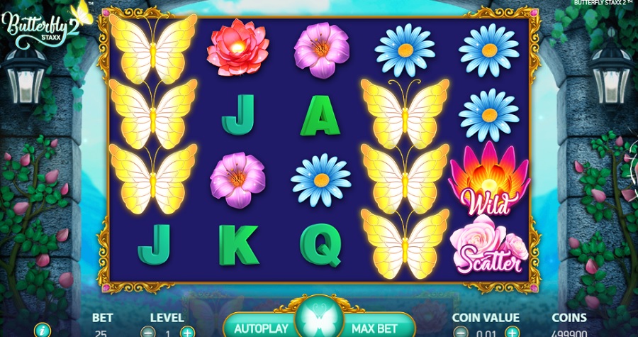 Butterfly Staxx 2