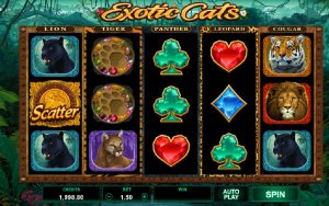 Exotic Cats