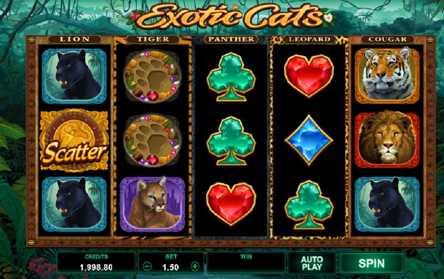 Exotic Cats