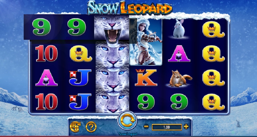 Snow Leopard