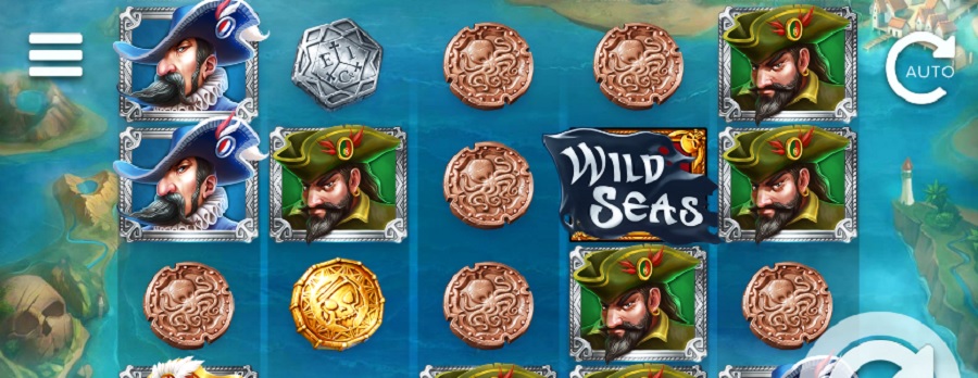 Wild Seas