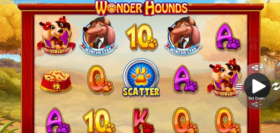 Wonder Hounds