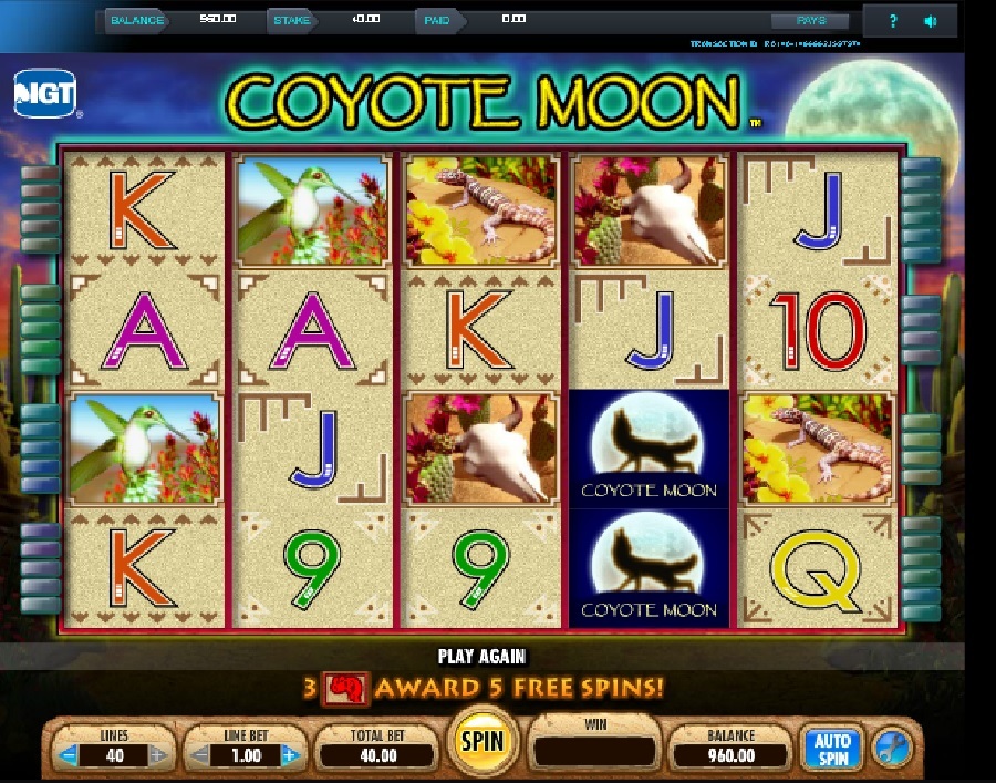 Coyote Moon