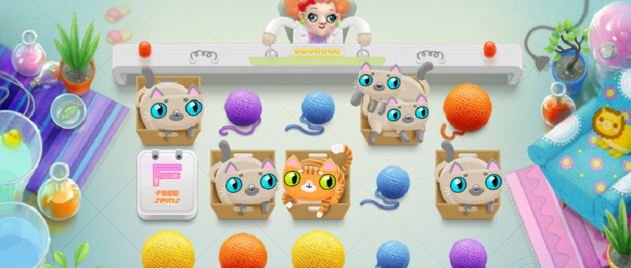 Not Enough Kittens