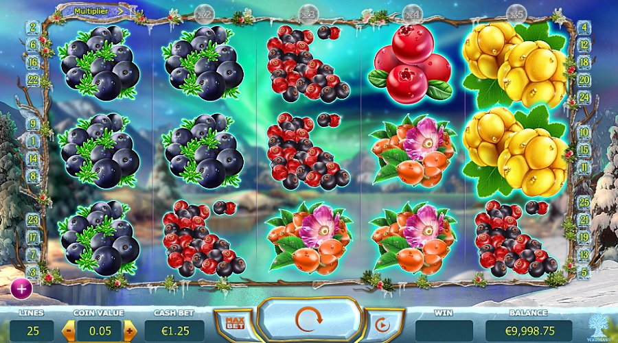 Winterberries